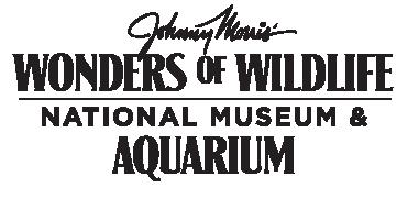 Wonders of Wildlife National Museum and Aquarium project image