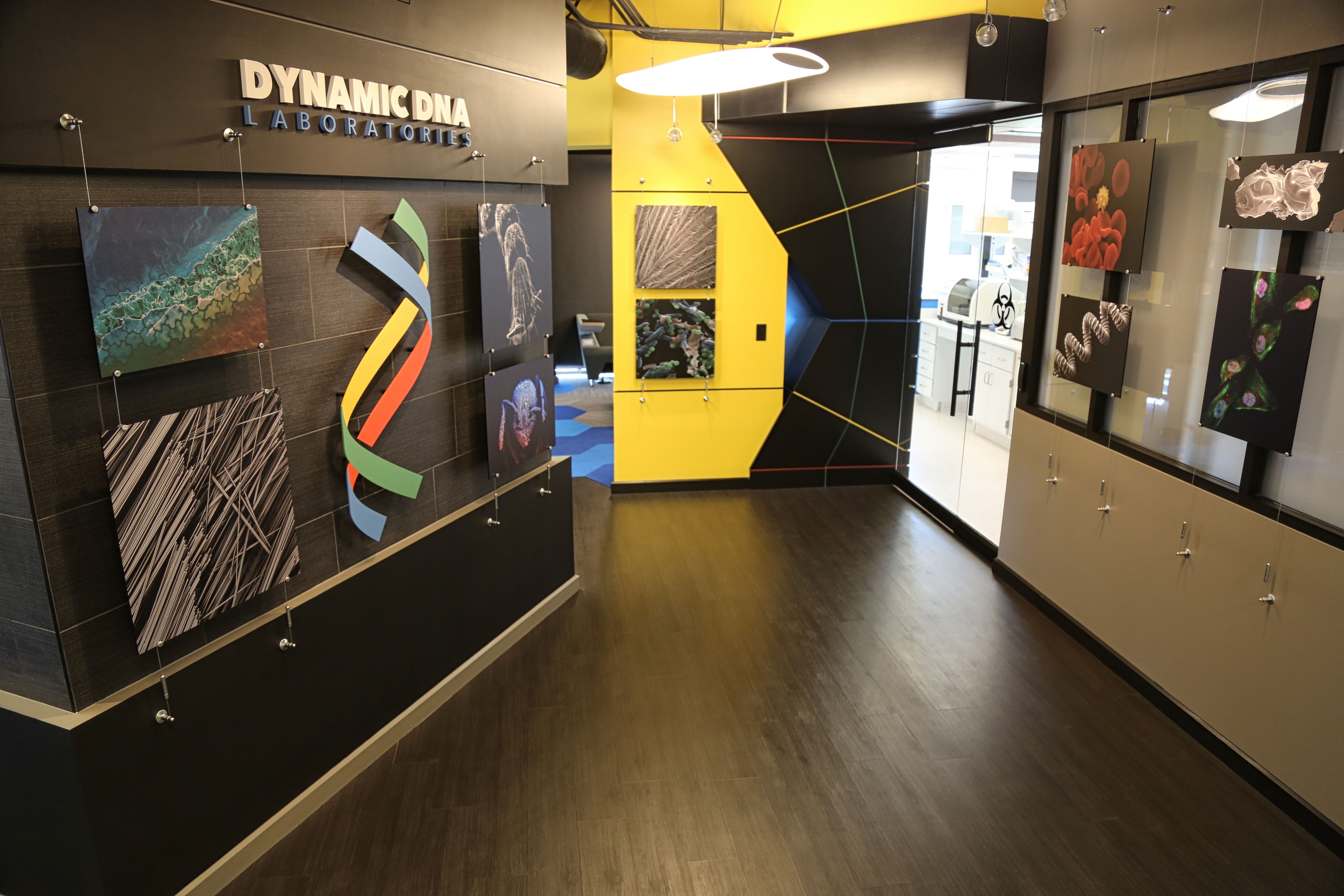 Dynamic DNA  Maker Picture